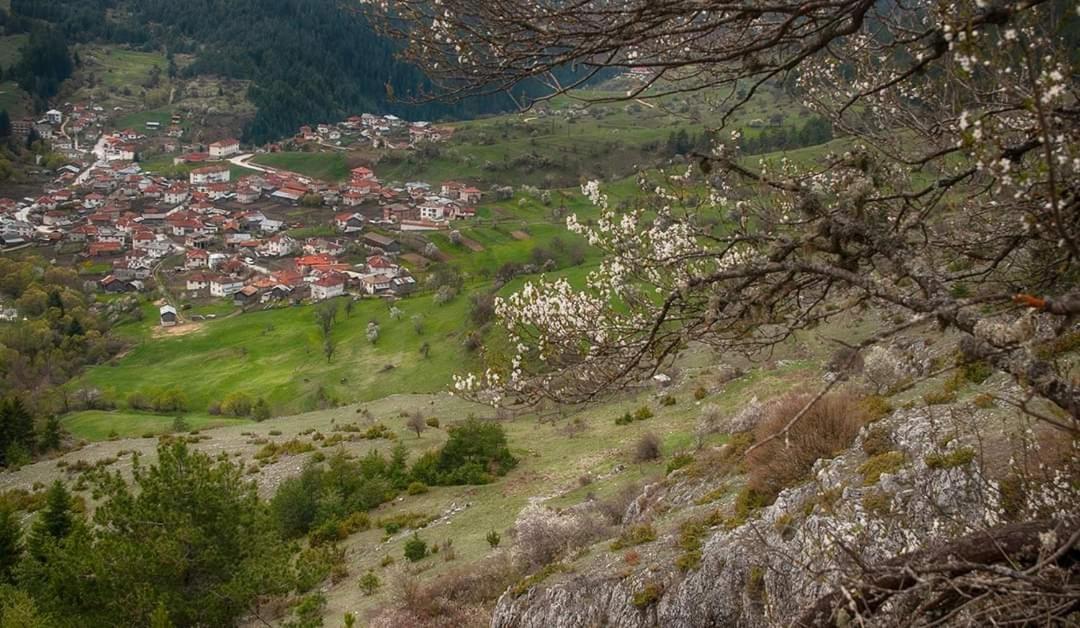 Вила Здравец Yagodina Εξωτερικό φωτογραφία