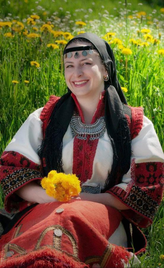 Вила Здравец Yagodina Εξωτερικό φωτογραφία