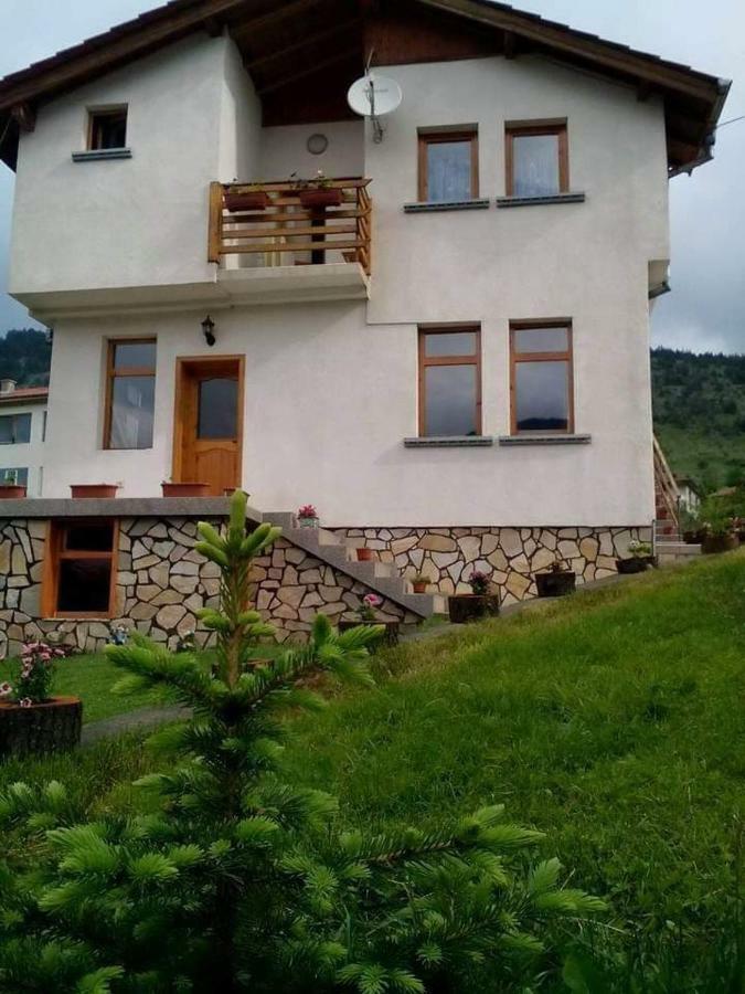 Вила Здравец Yagodina Εξωτερικό φωτογραφία